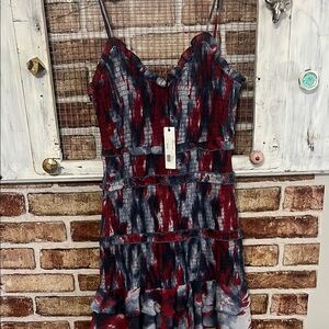 Olivaceous Red and Blue Mini Dress